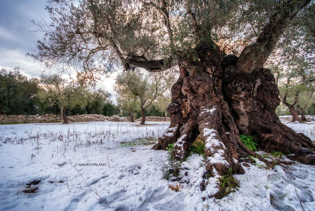 Tenuta Kyrios Borgagne Dış mekan fotoğraf