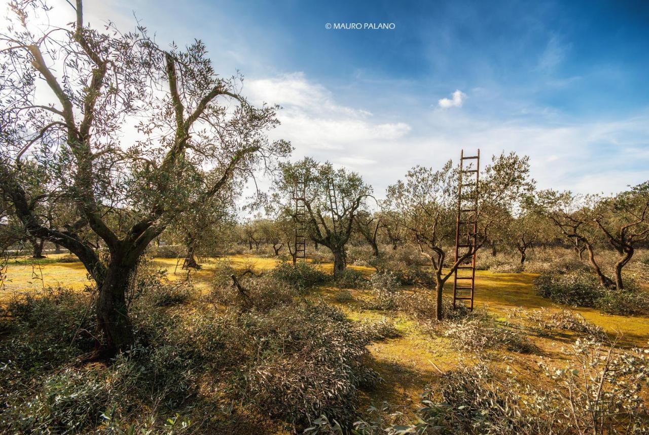 Tenuta Kyrios Borgagne Dış mekan fotoğraf