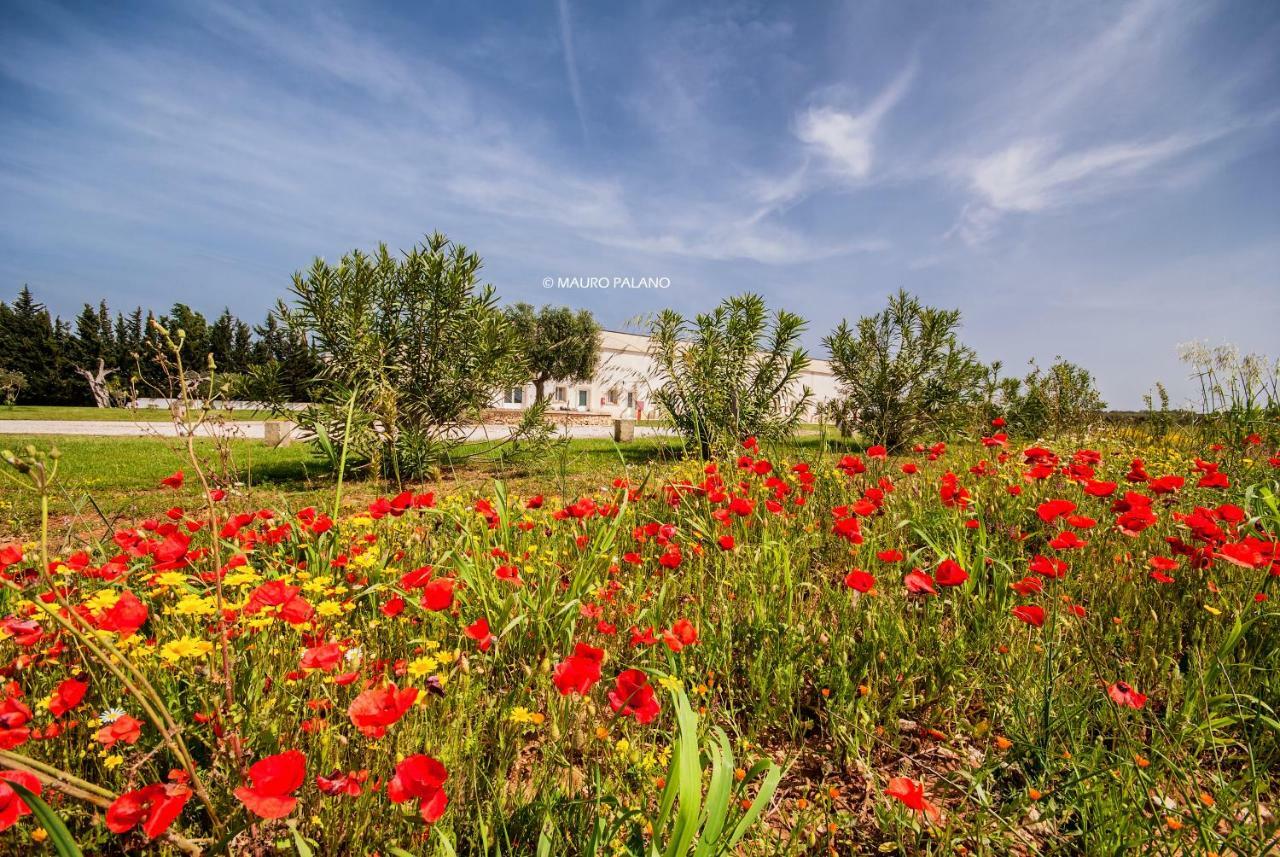 Tenuta Kyrios Borgagne Dış mekan fotoğraf
